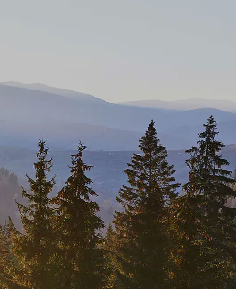 Bőr dizájn melamin tábla